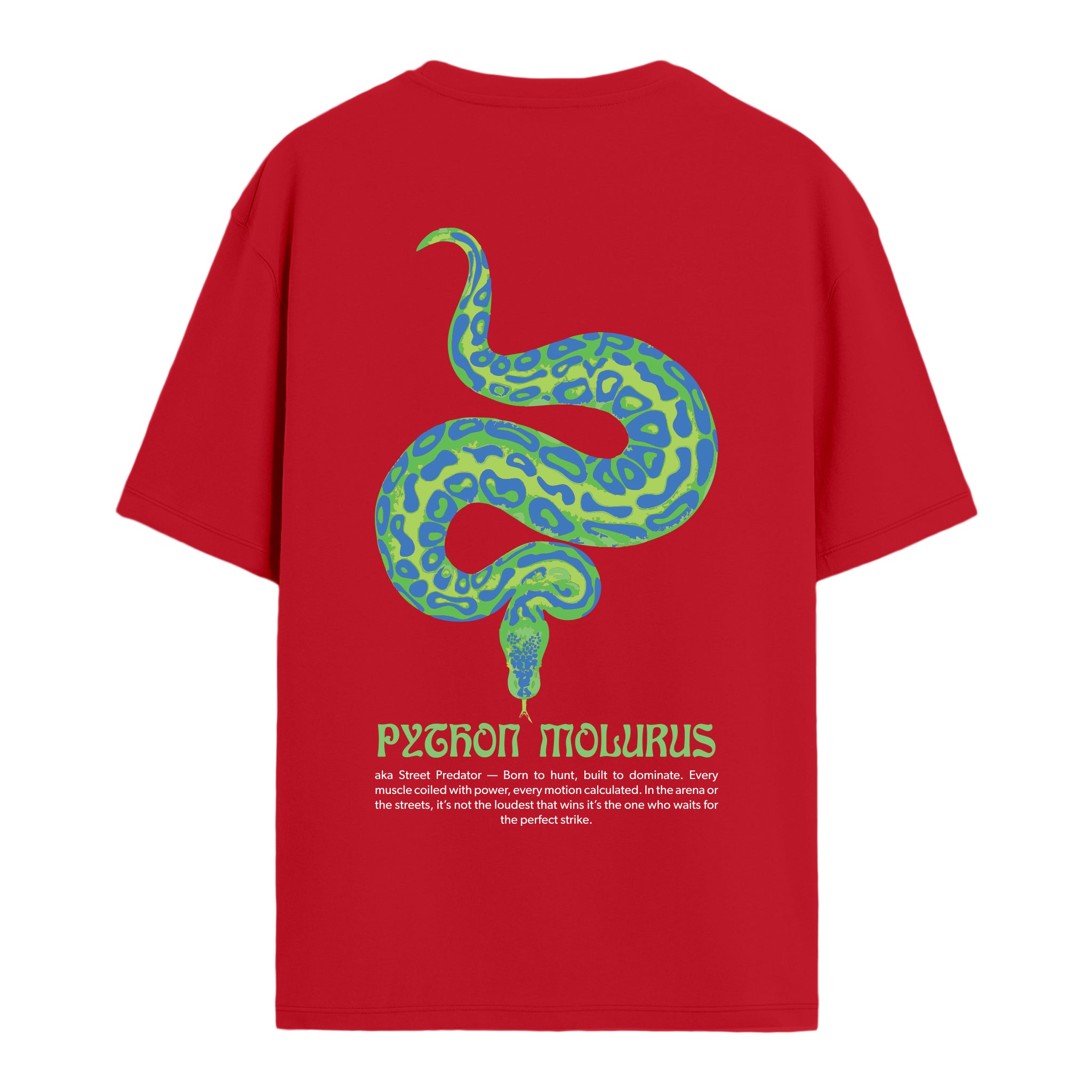 Python - Oversize T-shirt
