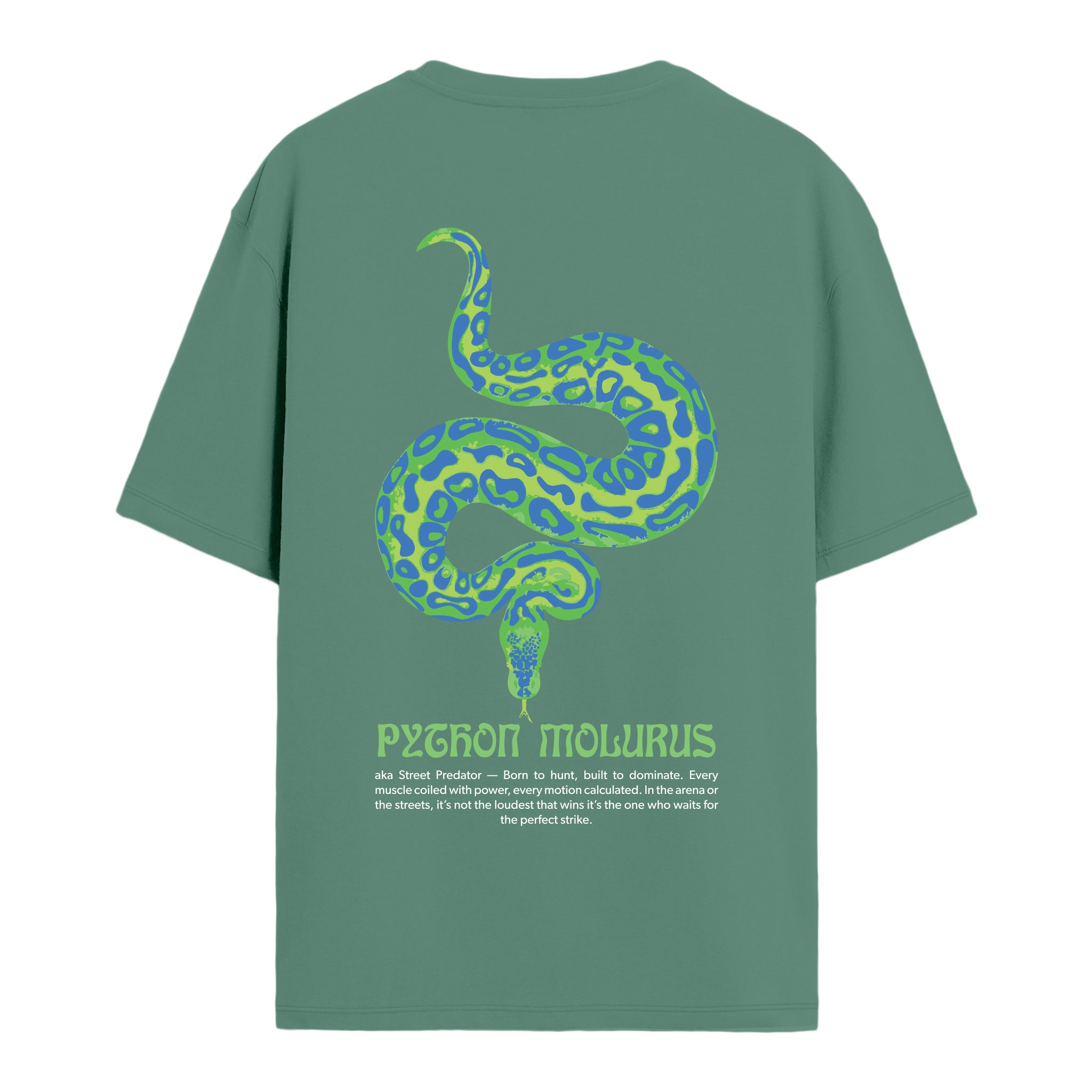 Python - Oversize T-shirt